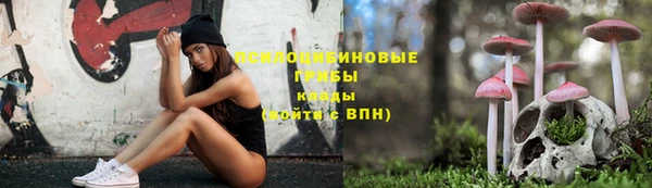 мдма Бородино