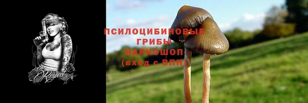 мдма Бородино