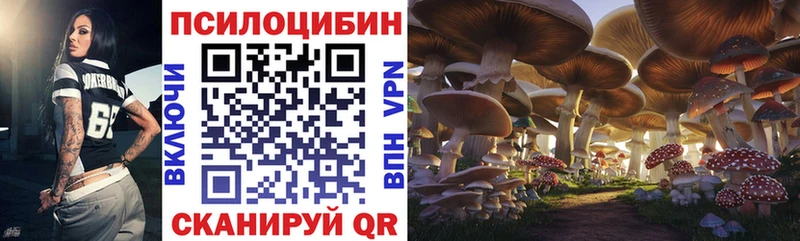 МЕГА зеркало  Губкинский  Галлюциногенные грибы ЛСД 